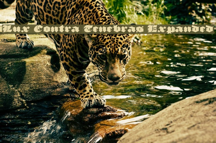 Lux Contra Tenebras Expanded Font examples