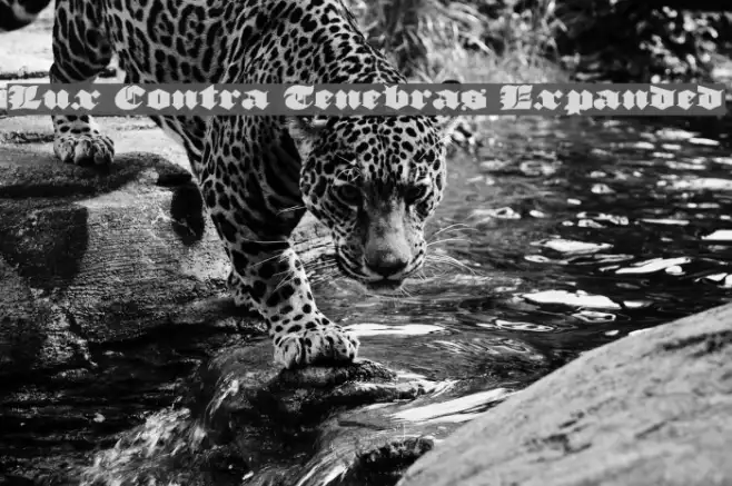 Lux Contra Tenebras Expanded Example 3