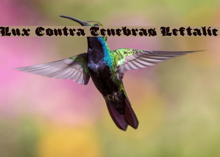 Lux Contra Tenebras Leftalic Font examples