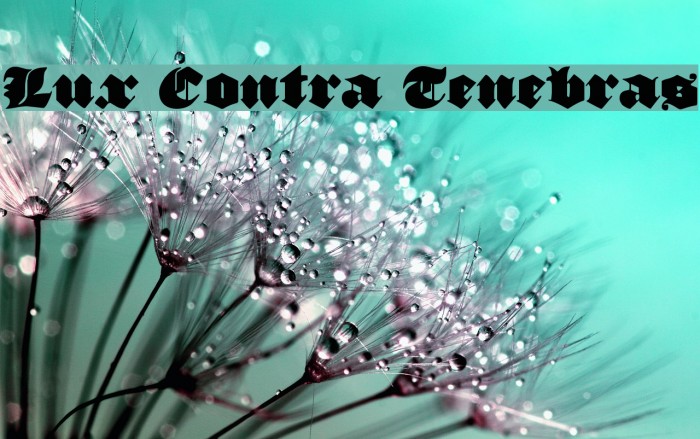 Lux Contra Tenebras Example 1