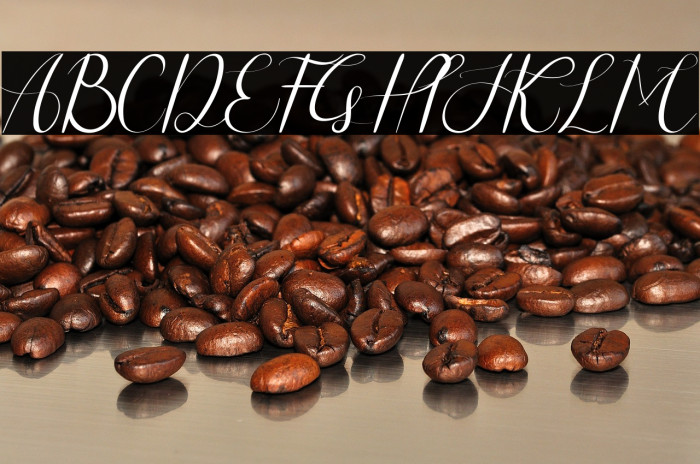 Lux Rose Demo Example 3