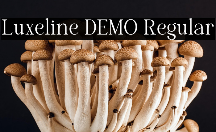 Luxeline DEMO Regular Example 3
