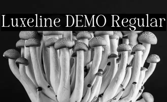 Luxeline DEMO Regular Polices examples