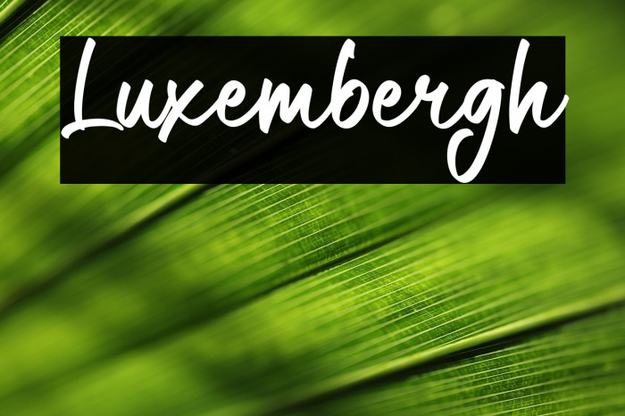 Luxembergh Example 1