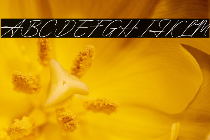 Luxembourg Signature Example 2