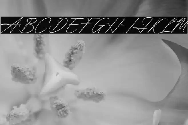 Luxembourg Signature Font examples