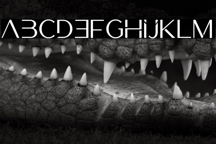 Luxerie Display Example 1