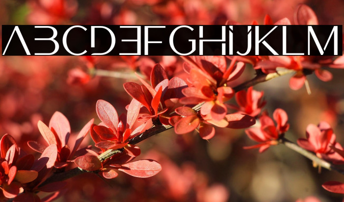 Luxerie Display Example 2