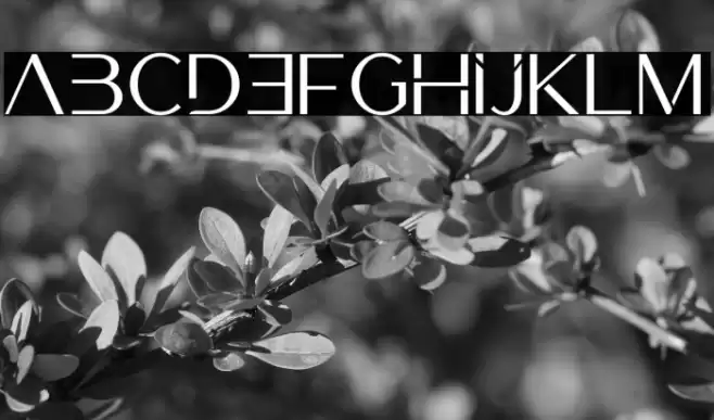 Luxerie Display Font examples