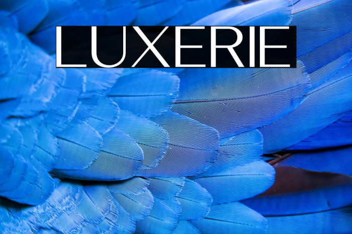 Luxerie Example 3
