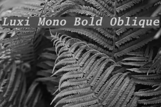 Luxi Mono Bold Oblique Font examples