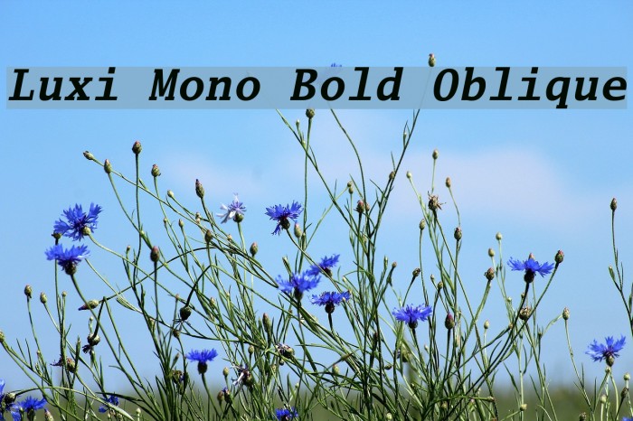 Luxi Mono Bold Oblique Font examples