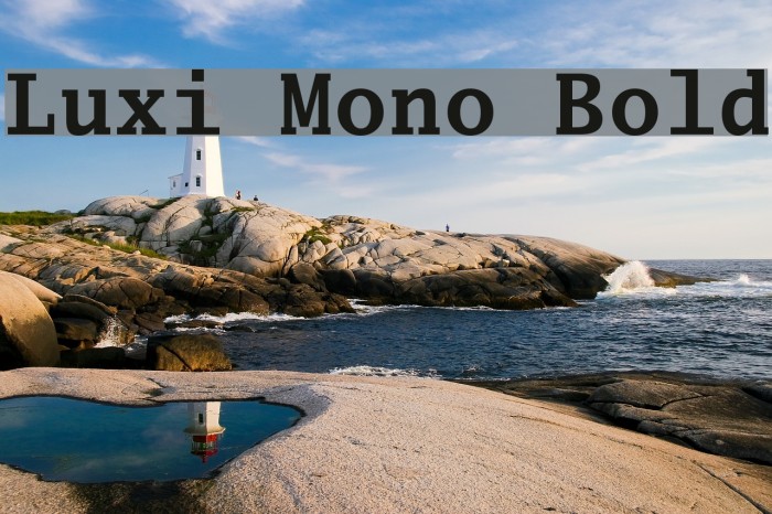 Luxi Mono Bold Font examples