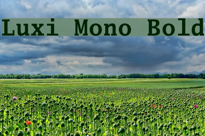 Luxi Mono Bold Font examples