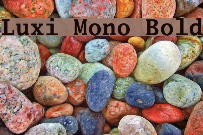Luxi Mono Bold Font examples