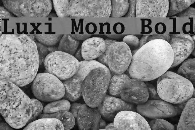 Luxi Mono Bold Example 3