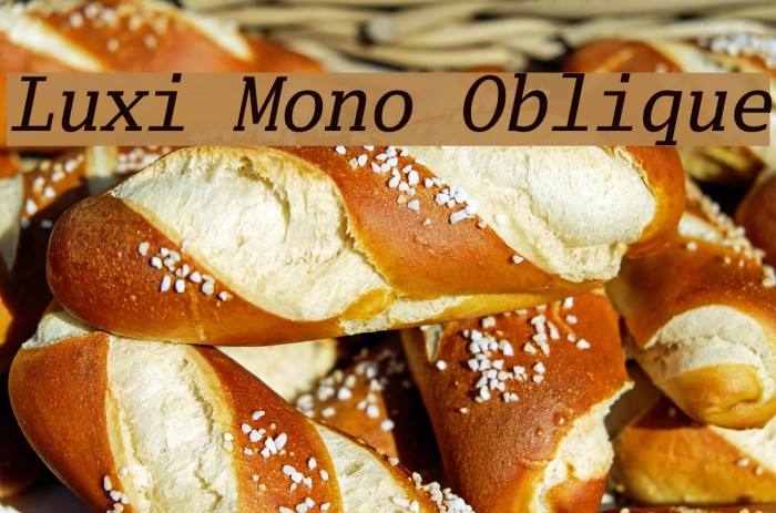 Luxi Mono Oblique Font examples