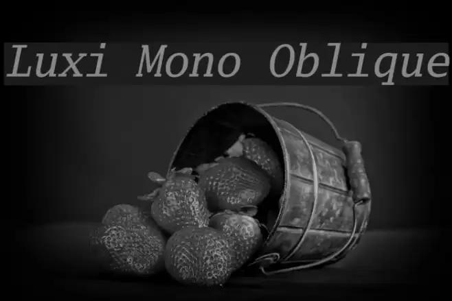 Luxi Mono Oblique Font examples