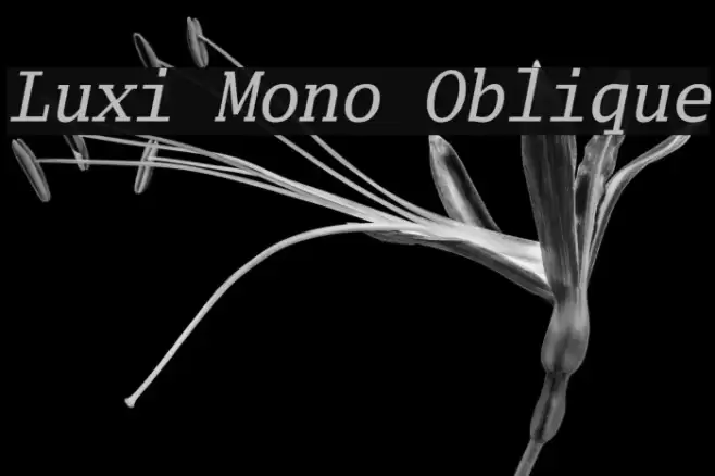 Luxi Mono Oblique Font examples