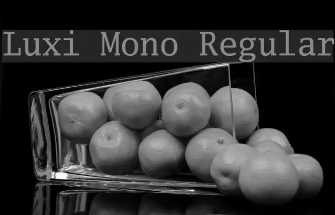 Luxi Mono Regular Font examples