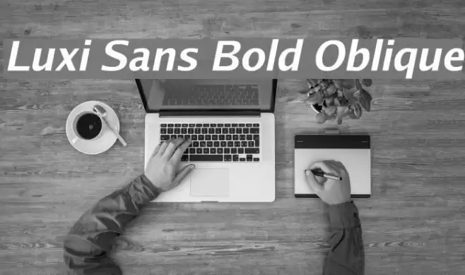 Luxi Sans Bold Oblique Font examples