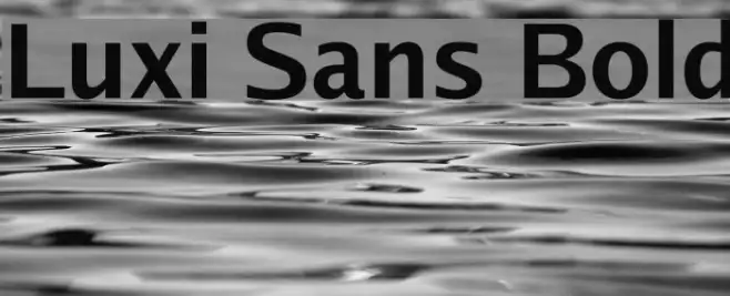 Luxi Sans Bold Example 1