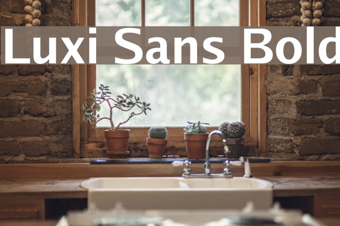 Luxi Sans Bold Font examples