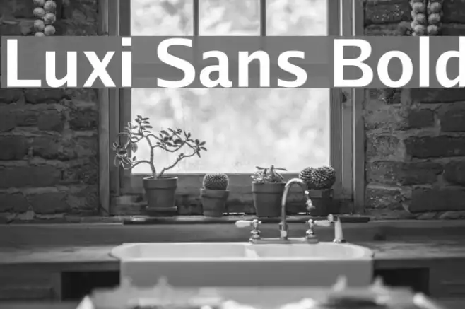 Luxi Sans Bold Example 3
