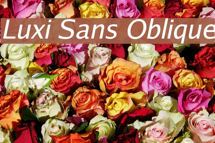 Luxi Sans Oblique Font examples