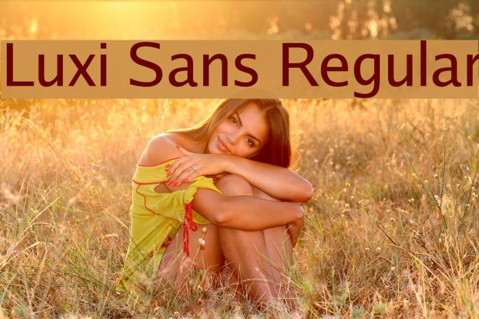 Luxi Sans Regular Font examples