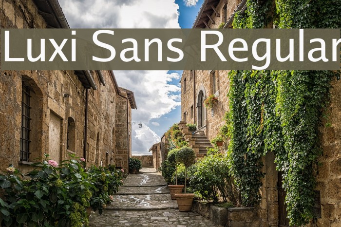 Luxi Sans Regular Font examples