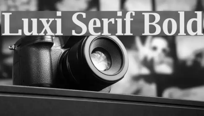 Luxi Serif Bold Example 2