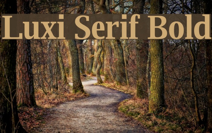Luxi Serif Bold Font examples
