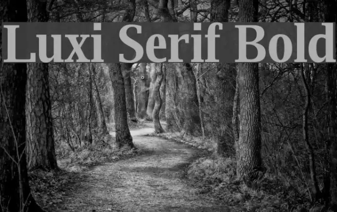 Luxi Serif Bold Example 3