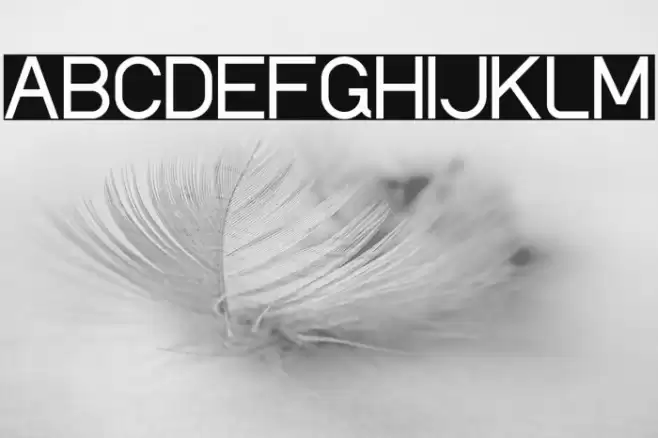 Luxima Font examples