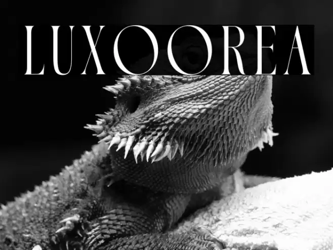 Luxoorea Font examples