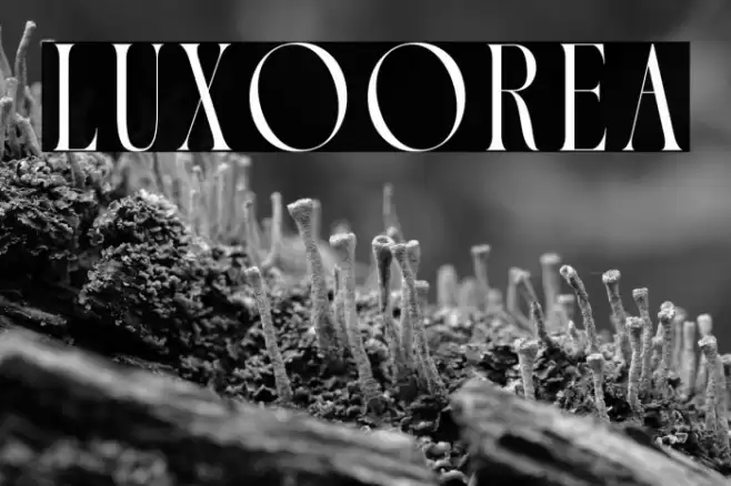 Luxoorea Font examples