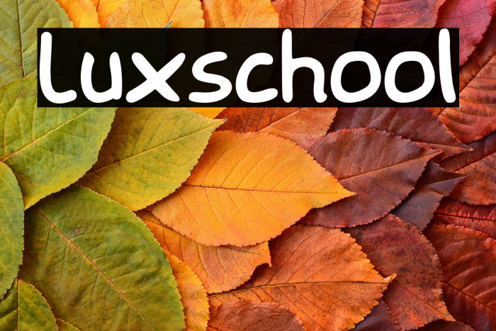 Luxschool Example 1
