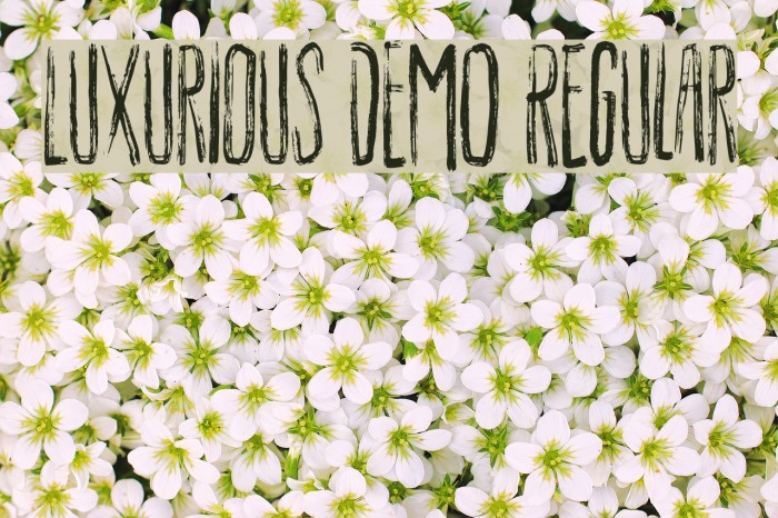 Luxurious DEMO Regular Font examples