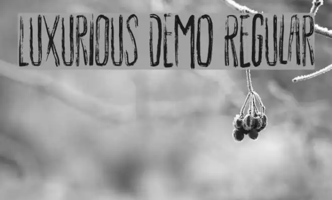 Luxurious DEMO Regular Example 3