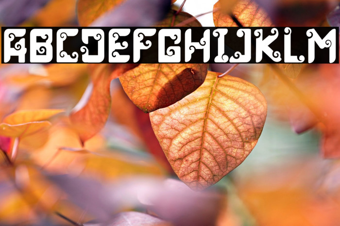 Luxurist Vintage Example 1