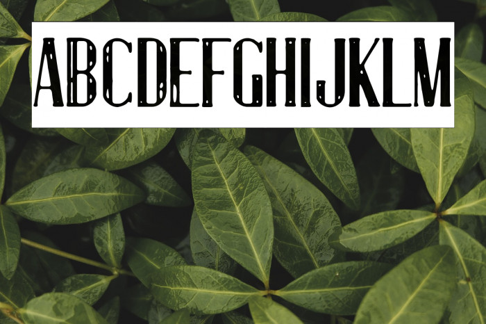 Luxury & Decadence Example 3