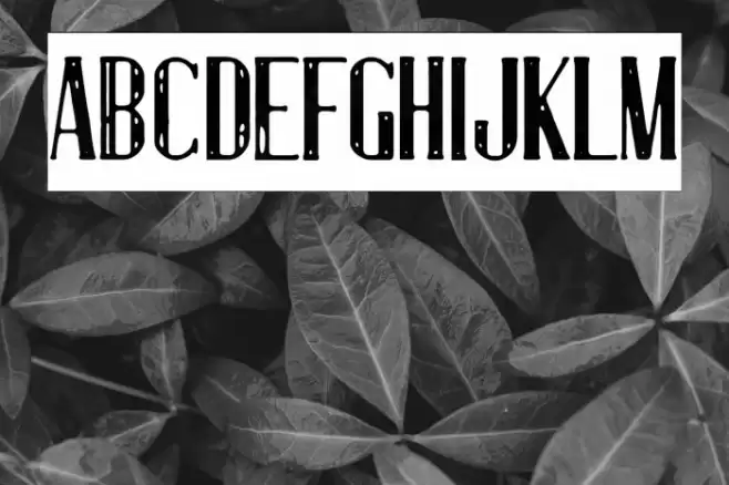 Luxury & Decadence Font examples