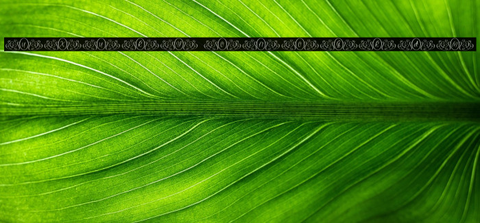 Luxury Monogram Example 2