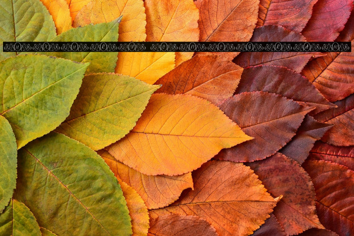 Luxury Monogram Example 3