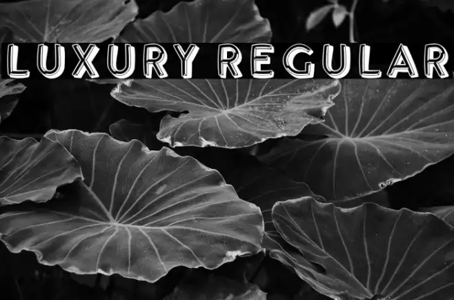 Luxury Regular Example 3