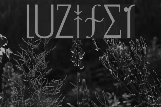 LuziFer Example 1