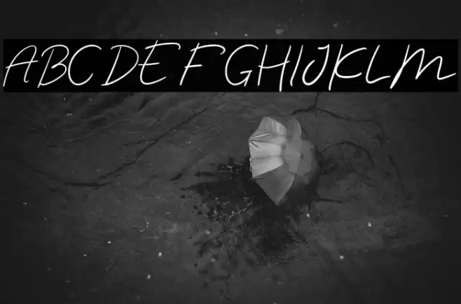 luciana Font examples