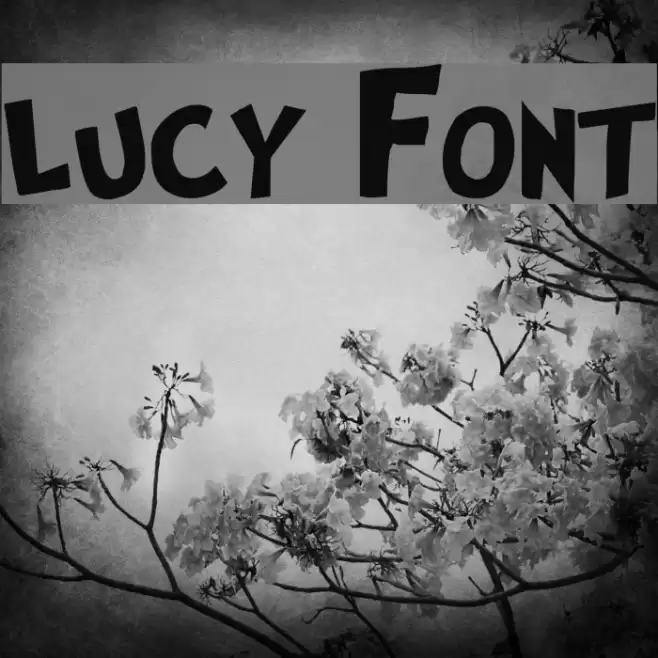 lucy Font examples