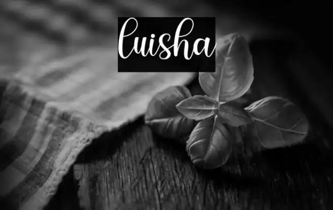 luisha Example 1